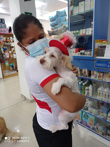 Clinivet Buenos Aires - foto 1